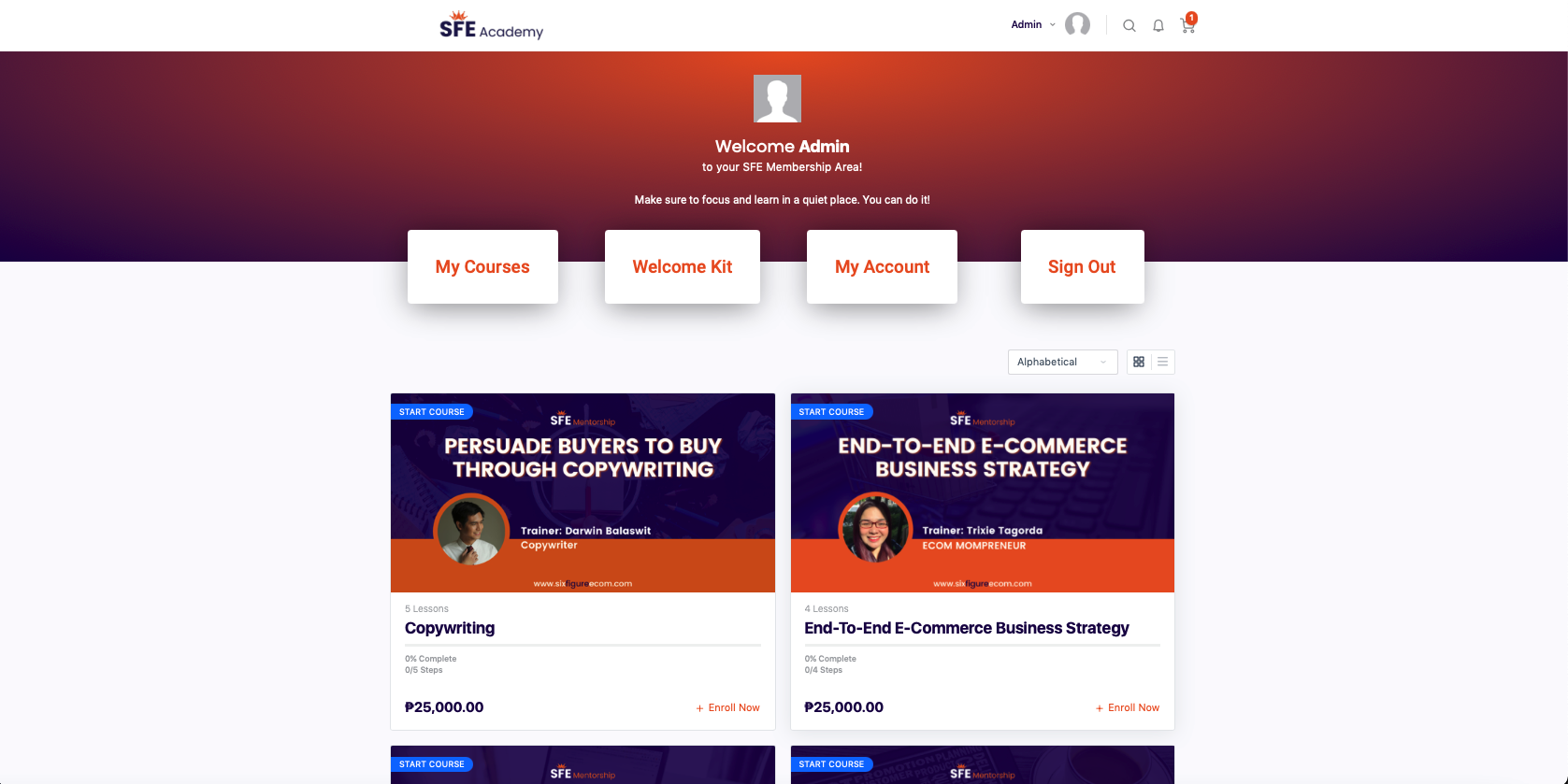 SFE Mentorship — original portfolio project screenshot